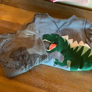 Boys Dinosaur shirt bundle